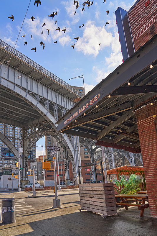 Dinosaur Bar-B-Que restaurant